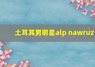 土耳其男明星alp nawruz